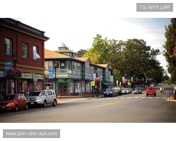 布歇补防迅速制造断点,多伦多回合节奏变快