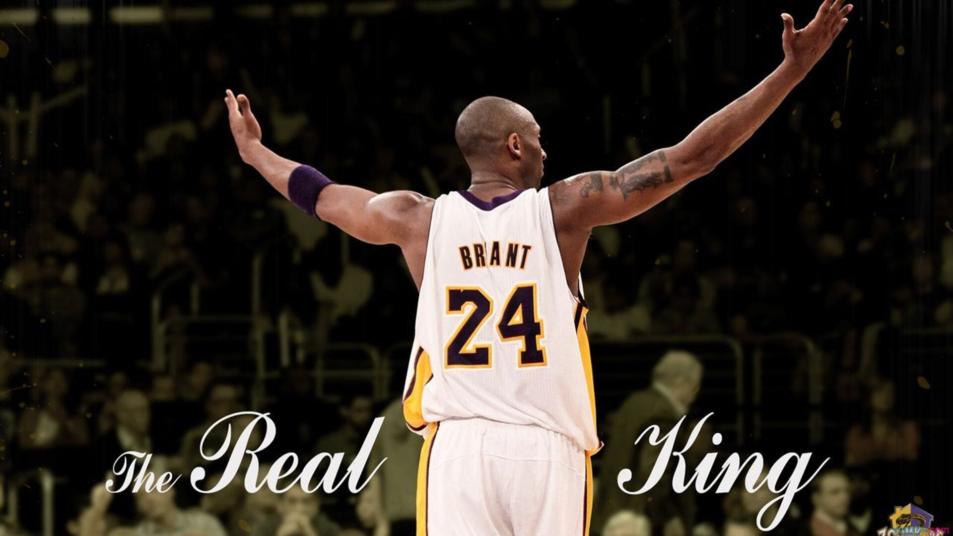 APEX英雄 战队默契配合提升，apex战队nkr